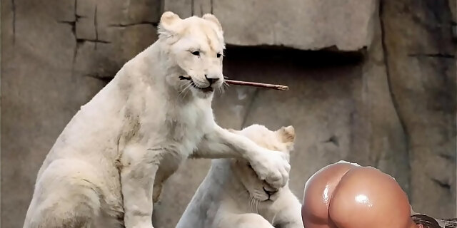 big ass,black,doggystyle,exotic